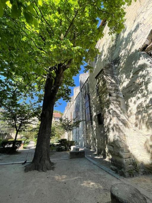 Charmant Studio, Centre Historique, Carmes Αβινιόν Εξωτερικό φωτογραφία